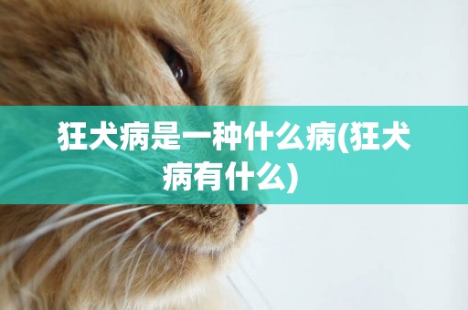 狂犬病是一種什么病(狂犬病有什么) 