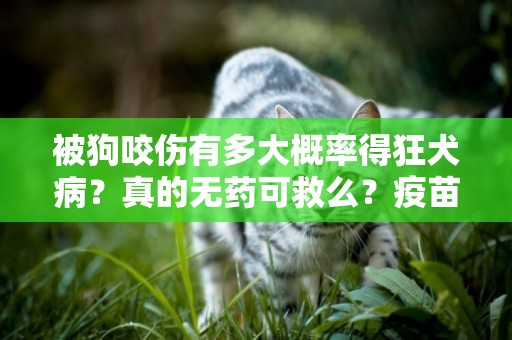 被狗咬傷有多大概率得狂犬病？真的無藥可救么？疫苗怎么注射？ 
