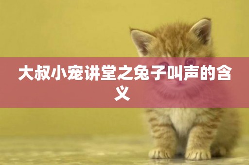 大叔小寵講堂之兔子叫聲的含義 