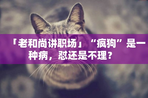 「老和尚講職場」“瘋狗”是一種病，懟還是不理？ 