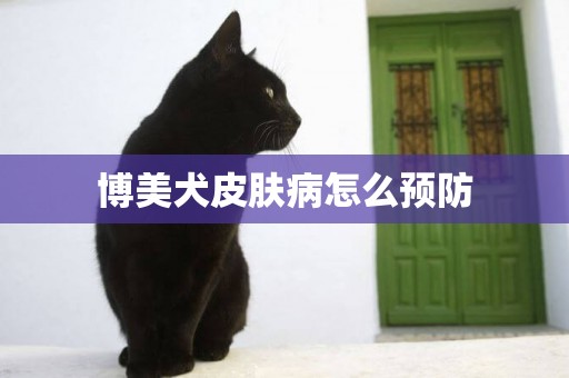 博美犬皮膚病怎么預防