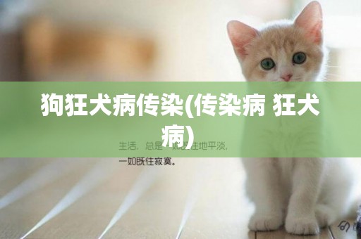 狗狂犬病傳染(傳染病 狂犬病) 
