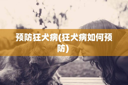 預防狂犬病(狂犬病如何預防) 