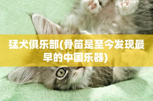 猛犬俱樂部(骨笛是至今發現最早的中國樂器) 