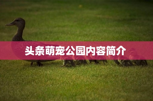 頭條萌寵公園內容簡介 