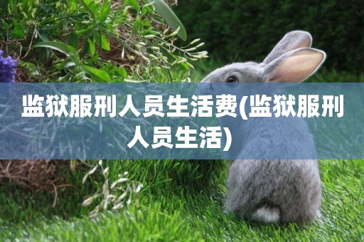 監獄服刑人員生活費(監獄服刑人員生活) 