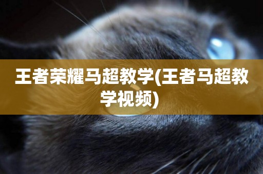 王者榮耀馬超教學(王者馬超教學視頻) 