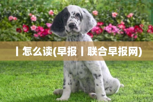 丨怎么讀(早報丨聯合早報網) 