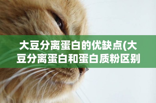 大豆分離蛋白的優缺點(大豆分離蛋白和蛋白質粉區別) 