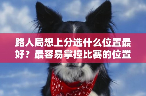 路人局想上分選什么位置最好？最容易掌控比賽的位置排名 