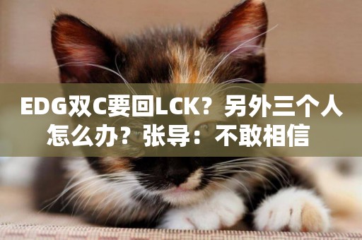 EDG雙C要回LCK？另外三個人怎么辦？張導：不敢相信 