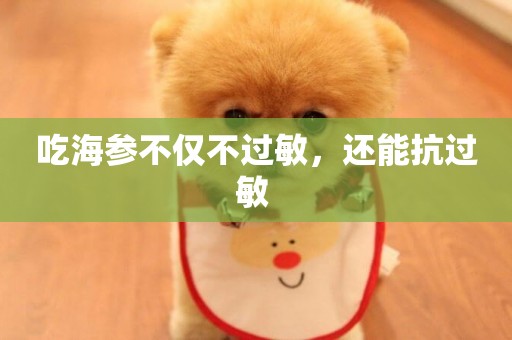 吃海參不僅不過敏，還能抗過敏 