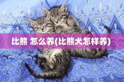 比熊 怎么養(比熊犬怎樣養) 