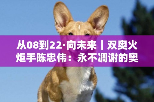 從08到22·向未來｜雙奧火炬手陳忠偉：永不凋謝的奧林匹克之花 