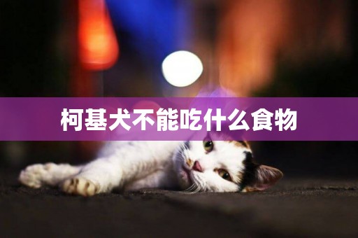 柯基犬不能吃什么食物