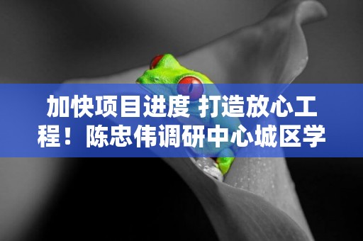 加快項目進度 打造放心工程！陳忠偉調研中心城區學校建設工作 