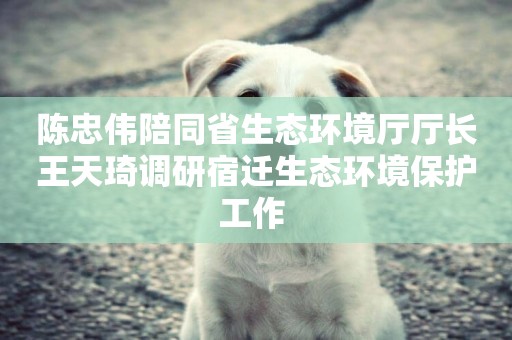 陳忠偉陪同省生態環境廳廳長王天琦調研宿遷生態環境保護工作 