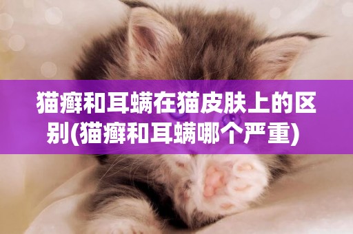 貓癬和耳螨在貓皮膚上的區別(貓癬和耳螨哪個嚴重) 
