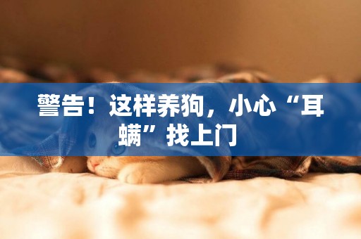 警告！這樣養狗，小心“耳螨”找上門 
