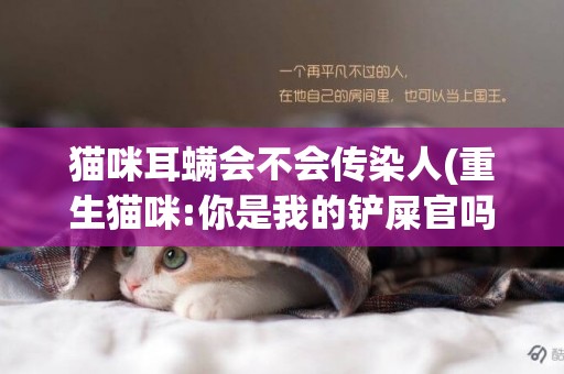貓咪耳螨會不會傳染人(重生貓咪:你是我的鏟屎官嗎) 