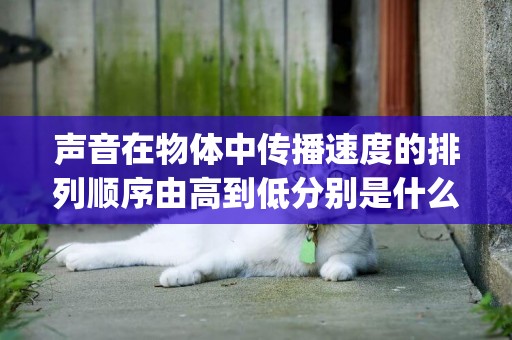 聲音在物體中傳播速度的排列順序由高到低分別是什么(光在真空中的傳播速度是多少m/s) 