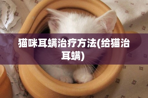 貓咪耳螨治療方法(給貓治耳螨) 