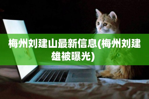 梅州劉建山最新信息(梅州劉建雄被曝光) 