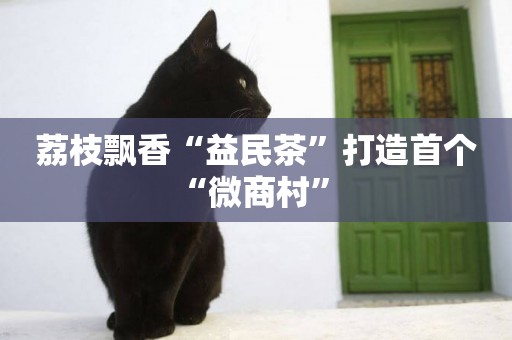 荔枝飄香“益民茶”打造首個“微商村” 
