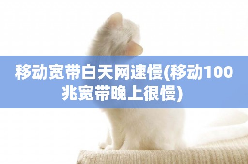 移動寬帶白天網速慢(移動100兆寬帶晚上很慢) 