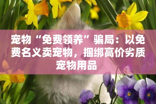 寵物“免費領養”騙局：以免費名義賣寵物，捆綁高價劣質寵物用品 