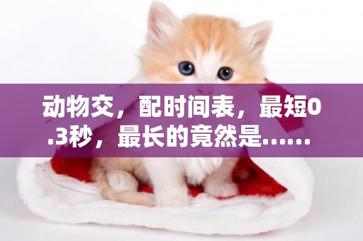 動物交，配時間表，最短0.3秒，最長的竟然是…… 