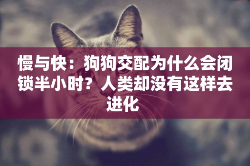 慢與快：狗狗交配為什么會閉鎖半小時？人類卻沒有這樣去進化 