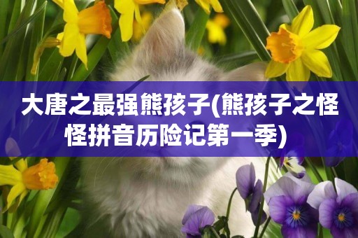 大唐之最強熊孩子(熊孩子之怪怪拼音歷險記第一季) 