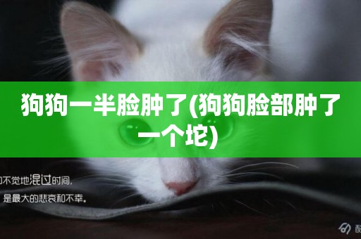 狗狗一半臉腫了(狗狗臉部腫了一個坨) 