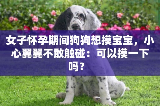 女子懷孕期間狗狗想摸寶寶，小心翼翼不敢觸碰：可以摸一下嗎？ 