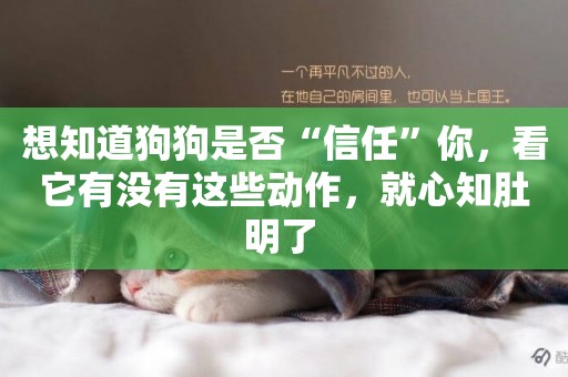 想知道狗狗是否“信任”你，看它有沒有這些動作，就心知肚明了 