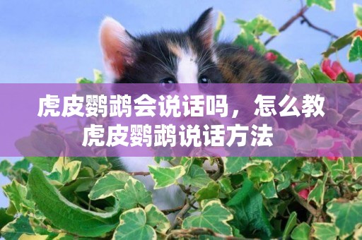 虎皮鸚鵡會說話嗎，怎么教虎皮鸚鵡說話方法 