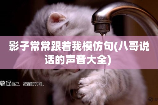 影子常常跟著我模仿句(八哥說話的聲音大全) 