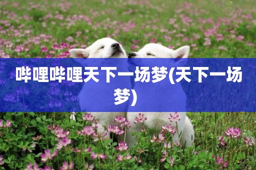嗶哩嗶哩天下一場夢(天下一場夢) 