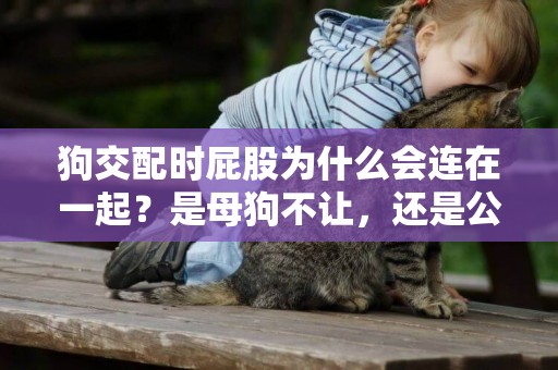 狗交配時屁股為什么會連在一起？是母狗不讓，還是公狗不想？ 