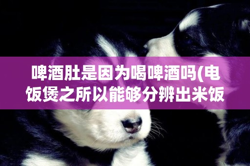 啤酒肚是因為喝啤酒嗎(電飯煲之所以能夠分辨出米飯有沒有煮好是因為內部安裝了) 