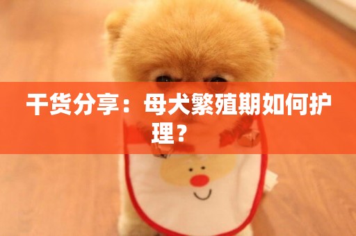干貨分享：母犬繁殖期如何護理？ 