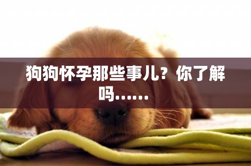 狗狗懷孕那些事兒？你了解嗎…… 
