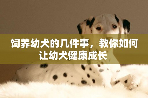 飼養幼犬的幾件事，教你如何讓幼犬健康成長 
