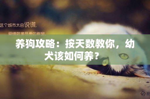 養狗攻略：按天數教你，幼犬該如何養？ 