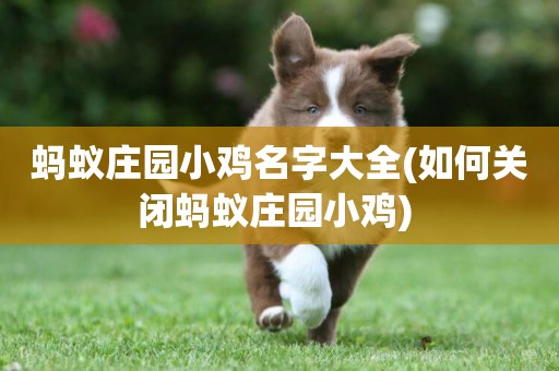 螞蟻莊園小雞名字大全(如何關閉螞蟻莊園小雞) 