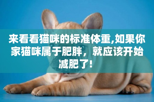 來看看貓咪的標準體重,如果你家貓咪屬于肥胖，就應該開始減肥了! 
