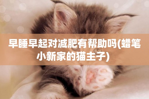早睡早起對減肥有幫助嗎(蠟筆小新家的貓主子) 