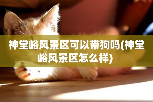 神堂峪風景區可以帶狗嗎(神堂峪風景區怎么樣) 
