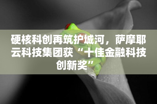 硬核科創再筑護城河，薩摩耶云科技集團獲“十佳金融科技創新獎” 
